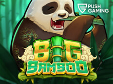 Pashagaming casino free spin85